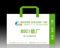 祝賀深圳市安迪聲電子科技有限公司順利通過SGS BSCI驗廠