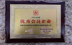 2021年深圳市玩具行業(yè)協(xié)會(huì)優(yōu)秀會(huì)員企業(yè)